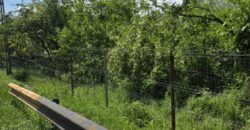 Vânzare teren 1.485 mp în comuna Șotrile / Plaiu Câmpinei – județul Prahova
